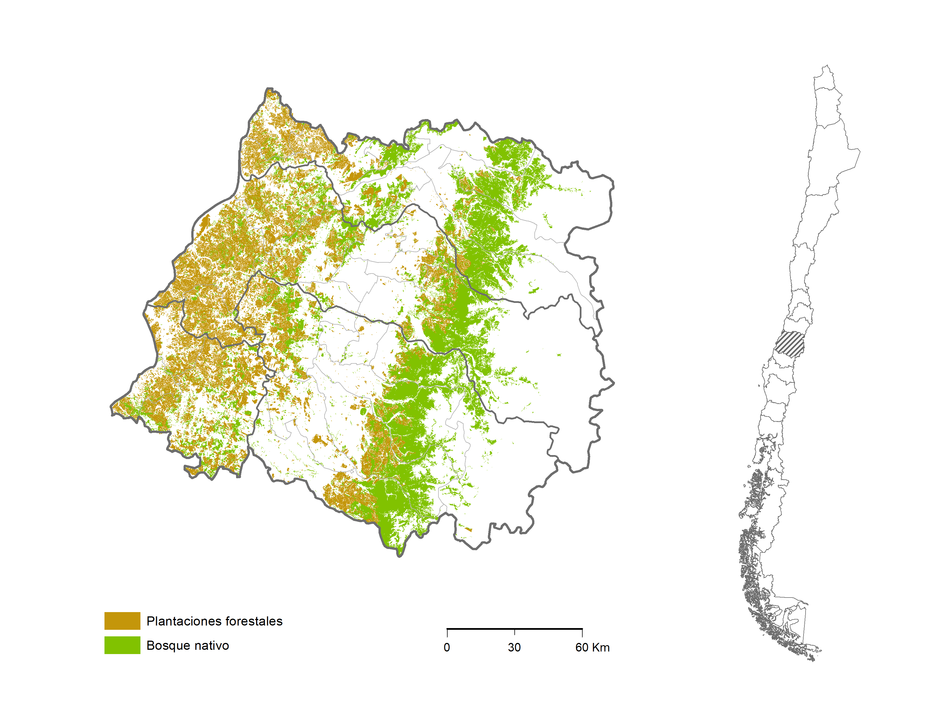 Región del Maule