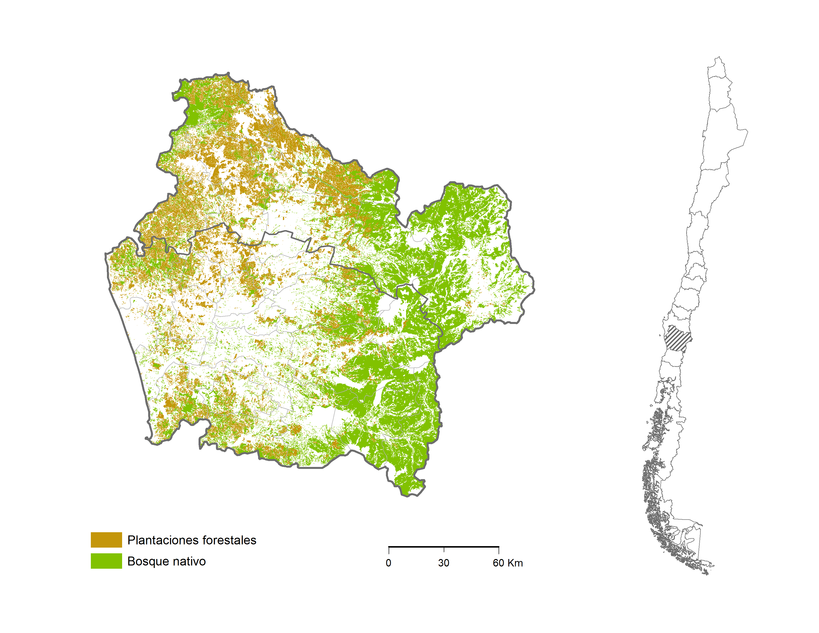 Región de la Araucanía